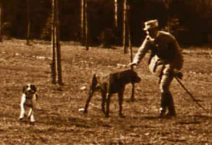 Park w Żyrowej, francuski oficer bawi się z psami, marzec 1922