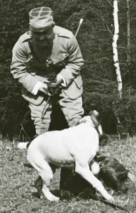 Park przypałacowy w Żyrowej, oficer francuski na spacerze z psami